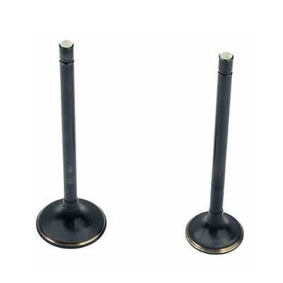 Motor Motor Asupan dan Exhaust Valve BAJAJ 3W4S CNG 175CC Kinerja Tinggi